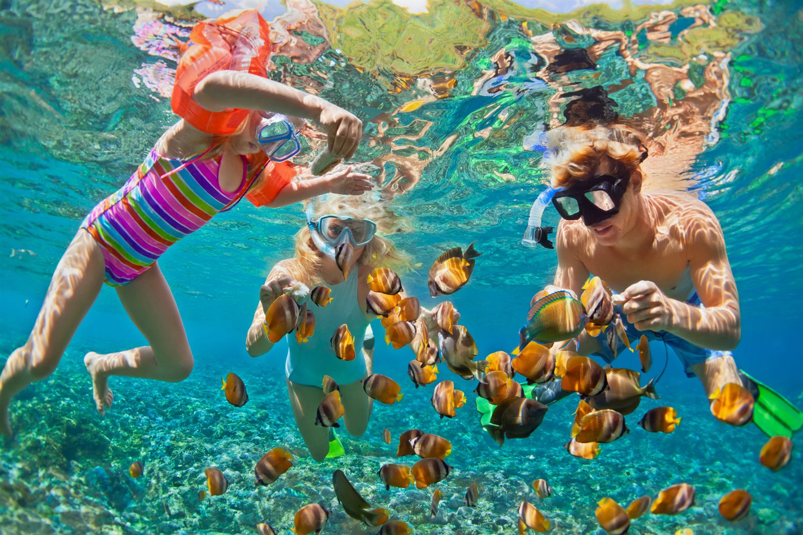 Children snorkeling among tropical fish in clear water