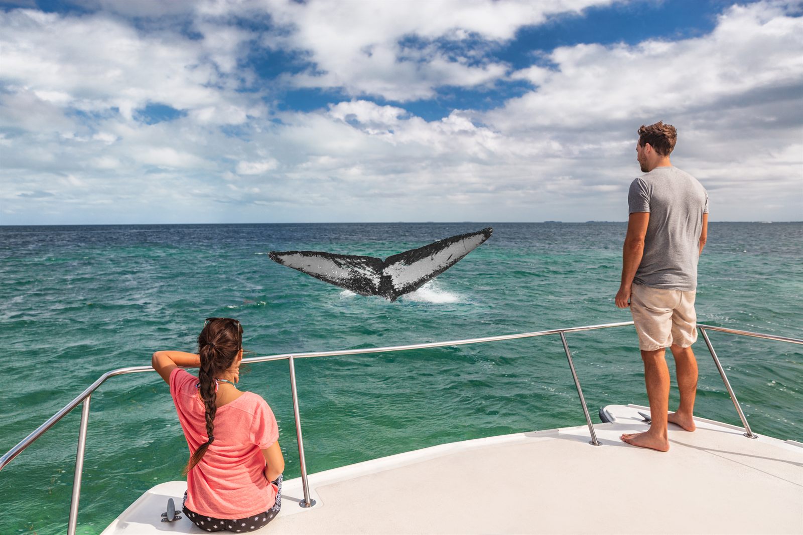 Travelers on a boat deck watching a whale tail at sea